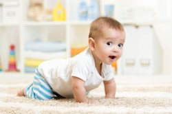 Infant-Chair-Safety-Belt-1