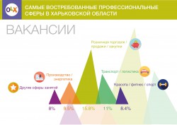 2017-03-10 Hoshva PR OLX Kharkov job info 2_rus
