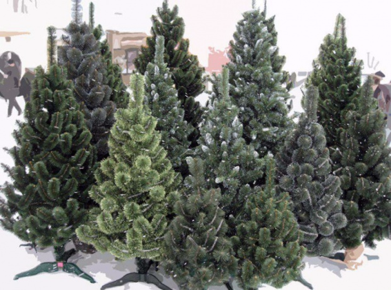 Сколько стоит новогодняя елка в Запорожской области