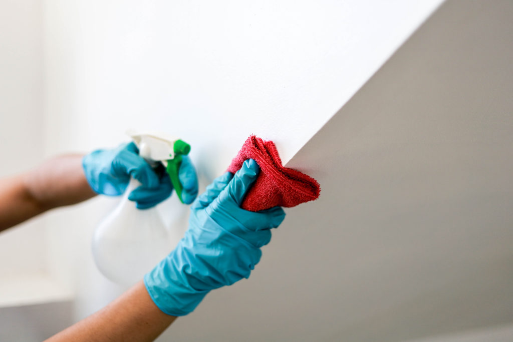 Як вивести грибок на стінах у домашніх умовах: найдієвіші способи | Блог OLX