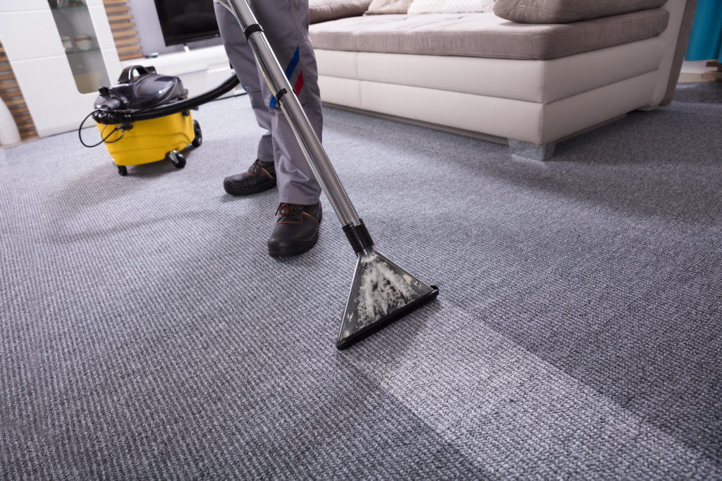 Як почистити килим у домашніх умовах | Блог OLX