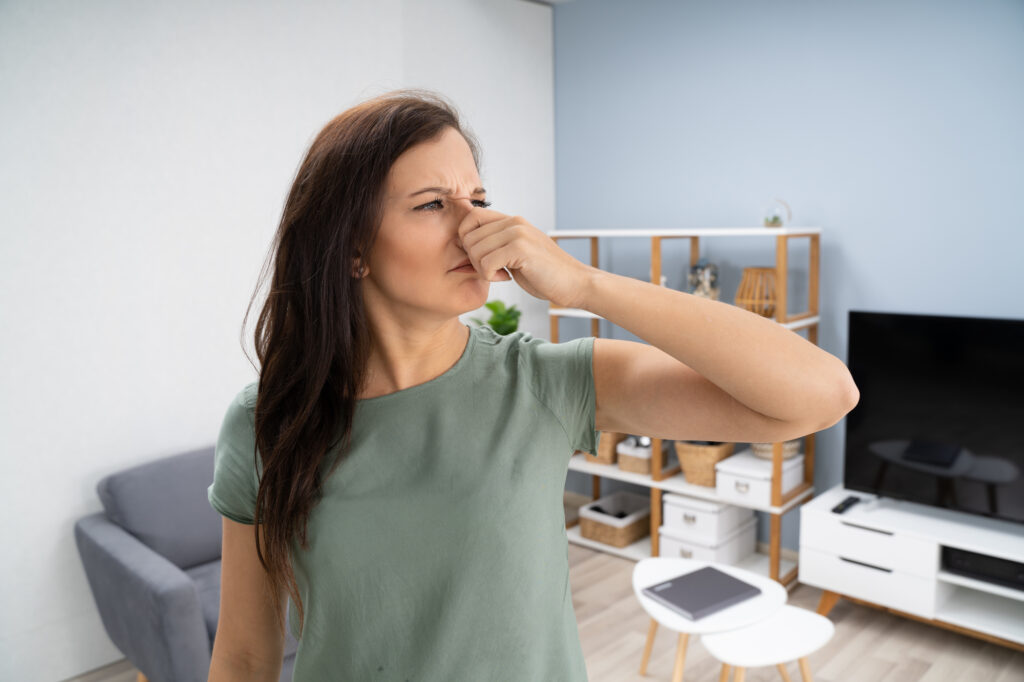 Як позбутися неприємного запаху у квартирі? | Блог OLX