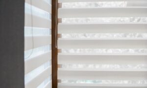 Види жалюзі на вікна та як їх вибрати і кріпити | Блог OLX