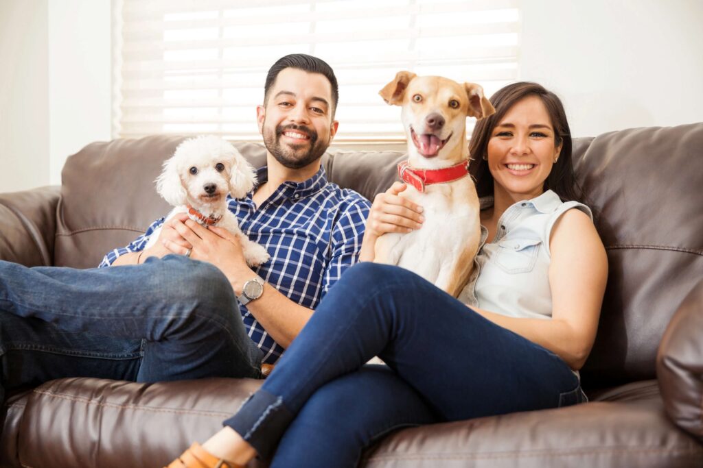 Зростання пропозиції в три рази: які регіони стають найбільш pet-friendly для орендарів із тваринами